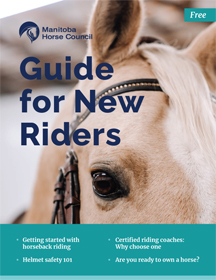 Guide for New Riders cover 